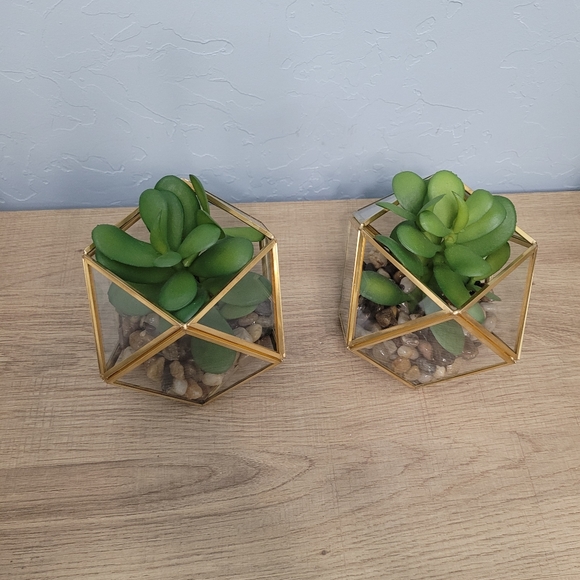 Set o f 2) 5" x 4" Artificial Succulent Plant with Brass Terrarium - Opalhouse - Picture 6 of 7